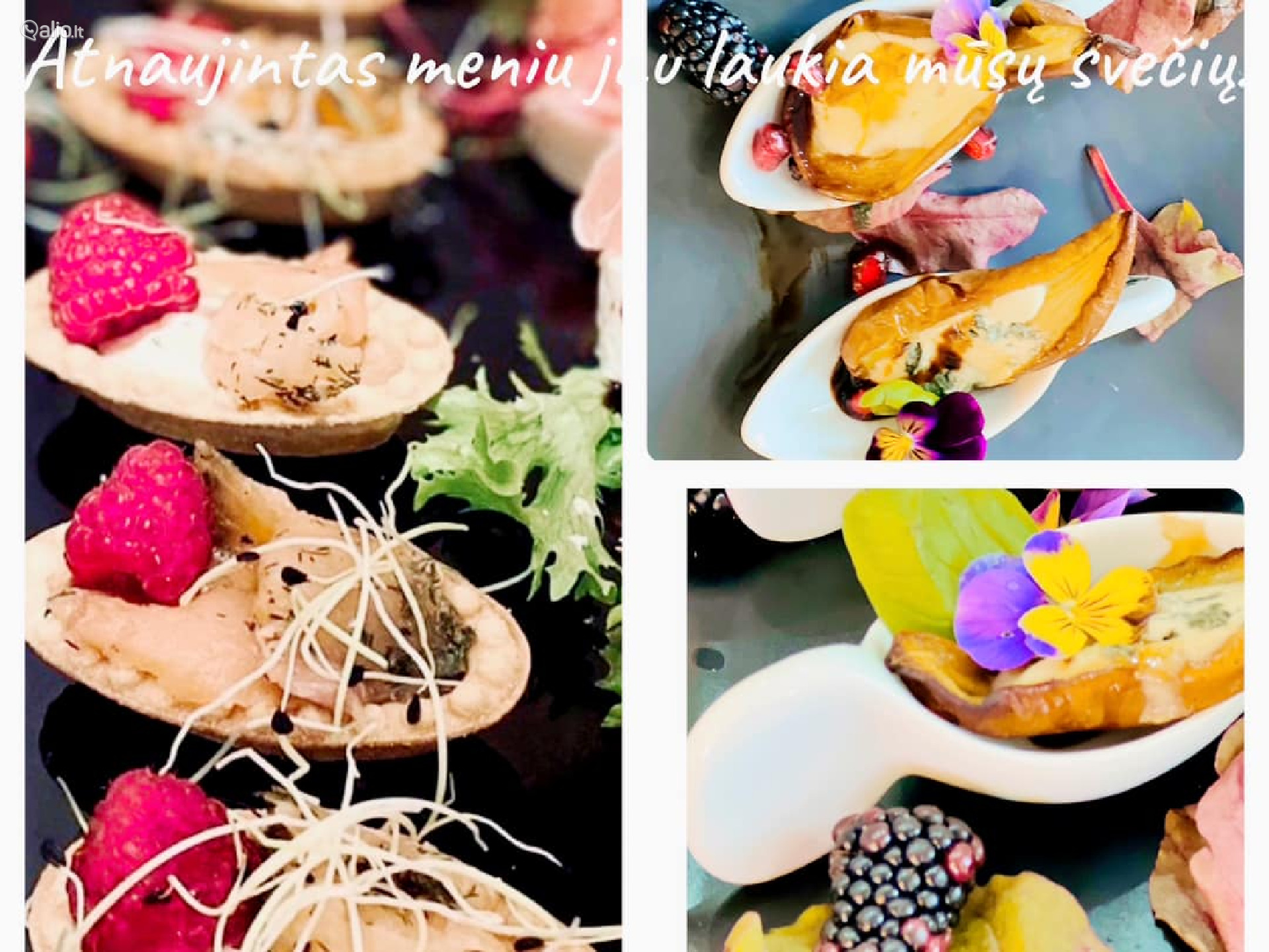 Vila Forest Resort - Unikali vieta jūsų šventei !