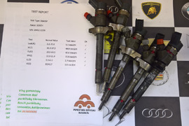 Kuro purkštukai Peugeot -206. 0445110259