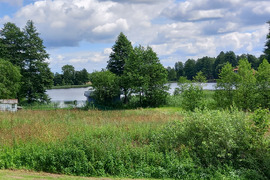 Parduodamas sklypas Molėtų r. sav. Žiūrų kaime 35 a