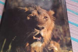 INDIJOS GAMTA GYVŪNAI