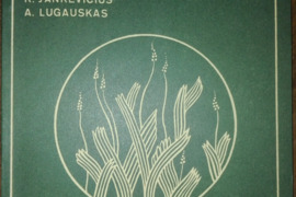 1432. AUGALAI-BRANGUS LIAUDIES TURTAS 