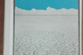 1517. KALAHARIO SMĖLYNAI