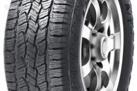 Leao Lion Sport A/T100 205/70R15 96T, Universalios padangos