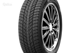 Roadstone Winguard Ice Plus 245/45R19 102T XL, Žieminės padangos