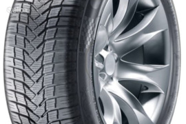 Sunny NC501 225/55R17 101W XL, Universalios padangos