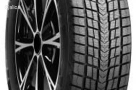 Roadstone Winguard Ice Suv 255/50R19 107T, Žieminės padangos