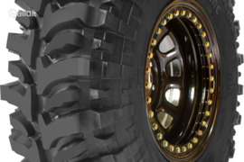 Accelera Badak X-treme 10.50/31R15 110N, Universalios padangos
