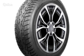 AUTOGREEN IceCruiser AW01 205/55R16 91T, Žieminės padangos