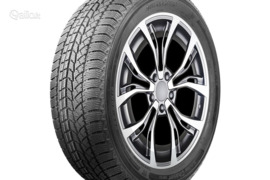 AUTOGREEN Snow Chaser AW02 255/50R19 107T XL, Žieminės padangos
