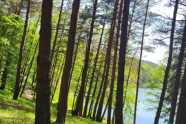 Pard. Trakai Žem.Sklypus. Ar Keičiu..