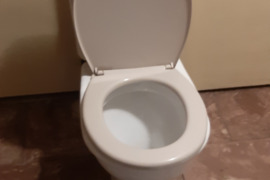 Geros būklės naudotas unitazas