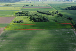 NETOLI NUO MIESTO RAŽIŲ KAIME PARDUODAMAS ŽEMĖS ŪKIO PASKITIES SKLYPAS