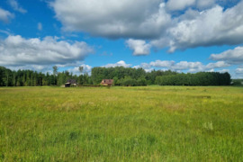 PARDUODAMAS 1,4615 HA ŽEMĖS SKLYPAS REIVYČIŲ K., MAŽEIKIŲ R.