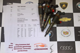 Kuro purkštukai Citroen-DS3. 0445110340