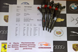 Kuro purkštukai Renault-Grand Scenic. 0445110110