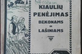 1590. KIAULIŲ PENĖJIMAS BEKONAMS IR LAŠINIAMS reta antikvarinė-kolekcinė