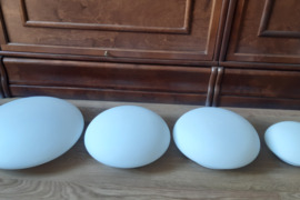 Labai pigiai šviestuvas EGLO (Austrija)