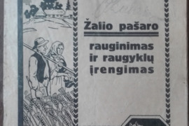 1598. ŽALIO PAŠARO RAUGINIMAS IR RAUGYKLŲ ĮRENGIMAS reta antikvarinė-kolekcinė