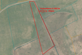 Zarasų r., Šaulių I k. parduodamas 0,7302 ha sklypas
