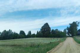 Parduodama sodyba  Balninkų kaime , Alytaus raj.