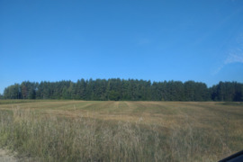 1.28 a sklypas Šalčininkų r. sav., Šalčininkėliai, Miško g.