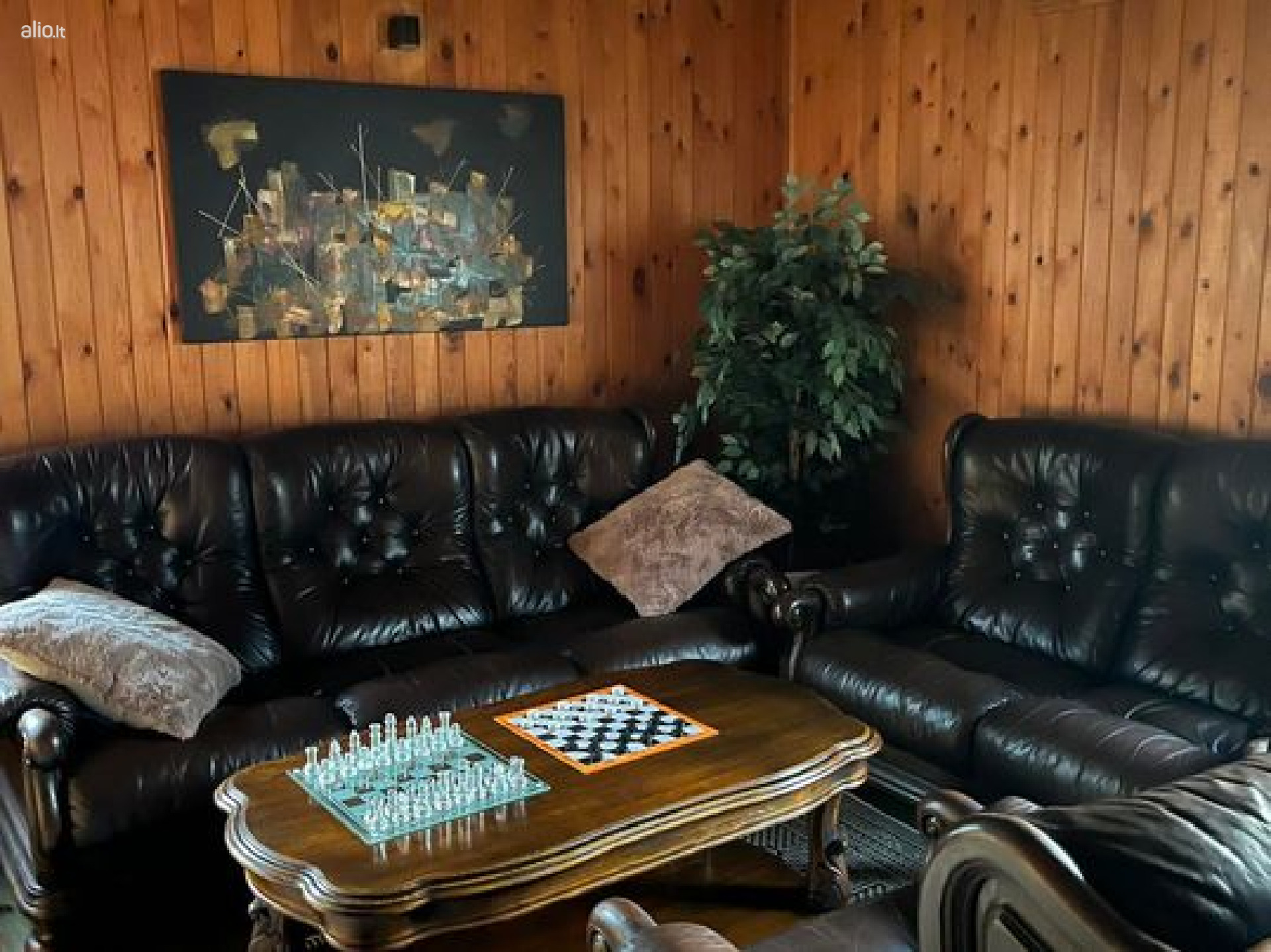 Baidarių nuoma širvintos upe, pirtis, kubilas, sodybos, kambarių nuoma, tinklinis, krepšinis, futbol