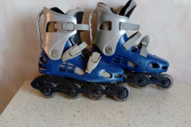 Sportas