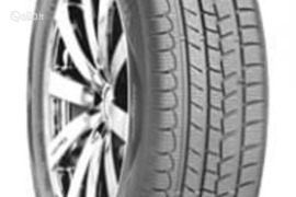 Roadstone Winguard Snow G 185/55R16 87T XL, Žieminės padangos