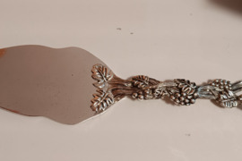 Peilis tortui