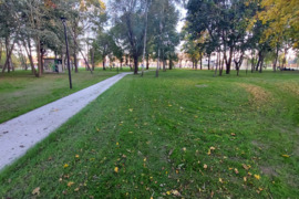 Pjaunu zole traktoriuku/trimeriu/žoliapjove