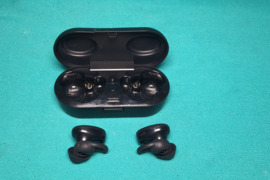 Bose earbuds  Ausinukai