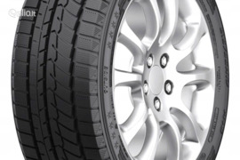 Austone SP901 195/55R15 85H, Žieminės padangos