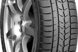 Roadstone Winguard Sport 205/55R16 94V XL, Žieminės padangos