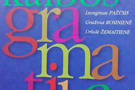 Anglų Kalbos Gramatika