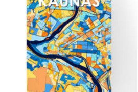 Dujinių katilų garantinis ir po garantinis aptarnavimas