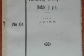 1956. VOKIEČIŲ MOKYKLA, KOKIA JI YRA