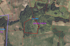4,74ha Spulių k. Alantos sen.