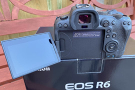 Canon R6 be veidrodžio
