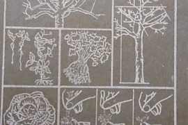 Sodininko ir daržininko mėgėjo žinynas