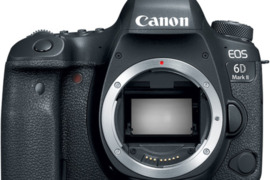 Canon EOS 6D Mark II DSLR fotoaparatas