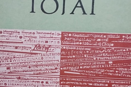 Istorijos klastotojai