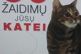 50 žaidimų jūsų katei