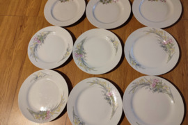 Lekščių komplektas