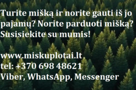 Nuo 10 a iki 1000 a sklypą, Vilnius, Centras, Gedimino pr.