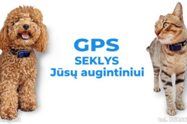 GPS-GSM Seklys. www.vga.lt