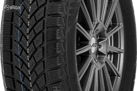 Windforce Snowblazer 205/55R16 91H, Žieminės padangos