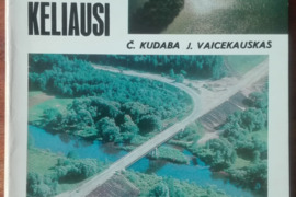 2088. JEI IŠ VILNIAUS KELIAUSI