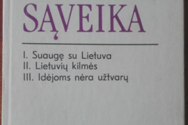 2110. KULTŪRŲ SĄVEIKA