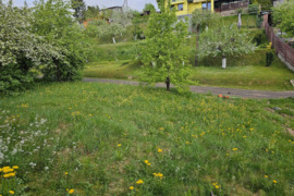 7.58 a sklypas Kauno r. sav., Piliuona