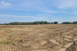 13.46 a sklypas Klaipėdos r. sav., Šakiniai (Dauparų - Kvietinių sen.)